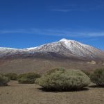 IMG_0159