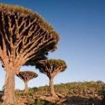 images7
