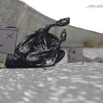 EDUCAZIONE-CANINA
