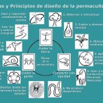pag07grafico-permacultura1