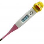 pag 09 thermometer