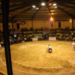 pag 10  Lucha_Canaria_003