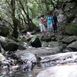 pag12_La Ensillada-Chamorga foto Gara Hernández Pérez