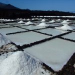 pag16_lapalma2 257