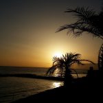 pag21_IMG_1334
