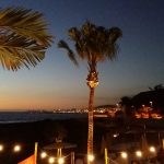 pag21_palmar20140824_210704