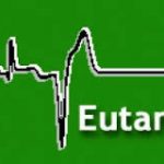 eutanasia