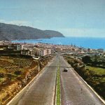 pag08_29988595