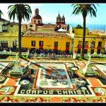 PAG27_Alfombra+Plaza+Ayuntamiento+La+Orotava+2014+tierras+Teide+Domingo+González+Expósito (39)