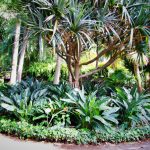 pag17_DSCF0339