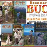 Bucio
