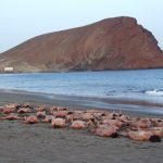 pag10_DSCF0946