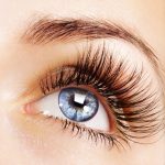 PAG26_shutterstock_50042554
