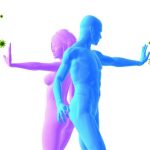 pag12_come-stimolare-il-sistema-immunitario_4045802d5ab3a903364a2c6c46d8da0b