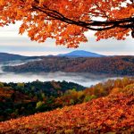 pag06_Red-Autumn