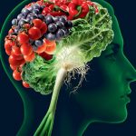 pag11_brain-food