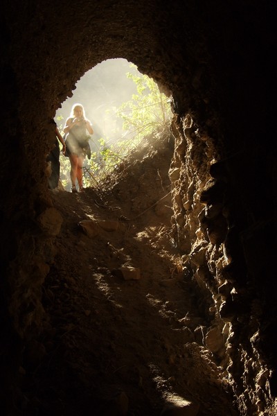 Un lupo mannaro a La Gomera