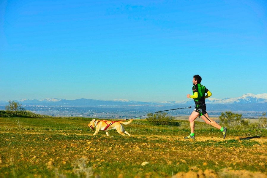 Facciamo sport col nostro cane?