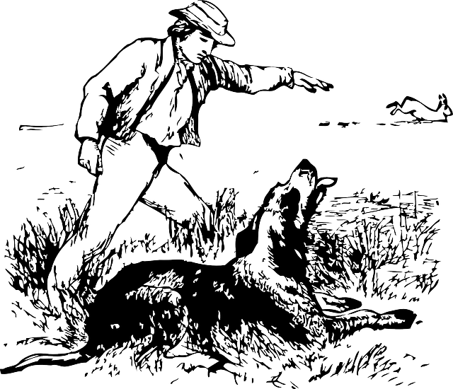 Tenerife: si apre la stagione della caccia