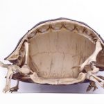 Schermata 2016-07-18 alle 16.56.35