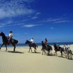 horse-riding-dubai2