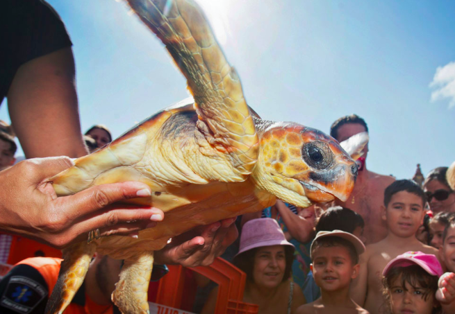 Buon viaggio Olivia!