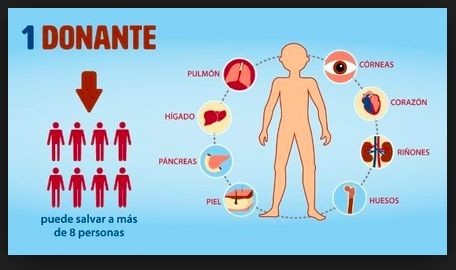 Record di trapianti di pancreas a Tenerife