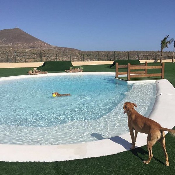 Primo parco acquatico per cani a Tenerife!