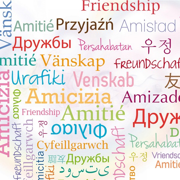 L’amicizia è una cosa seria