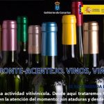 blog-parte-alta1
