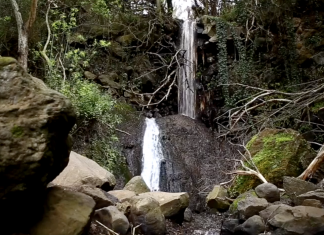I migliori percorsi di trekking con bambini a Gran Canaria (prima parte)