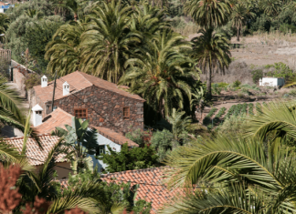 Trekking – Ruta de El Ingenio