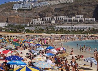 Quasi 190.000 canari viaggeranno verso e dalle isole questa Pasqua