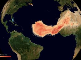 Una tempesta di sabbia attraverserà l’Atlantico