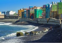 L’alga invasiva minaccia l’ecosistema marino di Gran Canaria