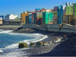 L’alga invasiva minaccia l’ecosistema marino di Gran Canaria