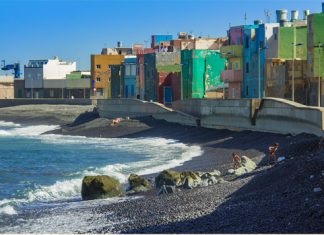 L’alga invasiva minaccia l’ecosistema marino di Gran Canaria