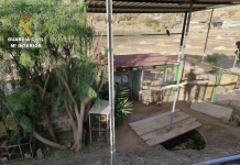 20 uccelli esotici e 18 uccelli invasivi confiscati in un allevamento di Tuineje (Fuerteventura)