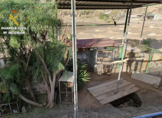 20 uccelli esotici e 18 uccelli invasivi confiscati in un allevamento di Tuineje (Fuerteventura)