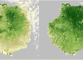 GRAN CANARIA DIVENTA VERDE CON LE ULTIME PIOGGE