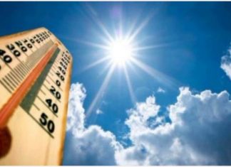 L’IMPATTO DEL CAMBIAMENTO CLIMATICO ALLE CANARIE: 24 NOTTI “TROPICALI” A NOVEMBRE