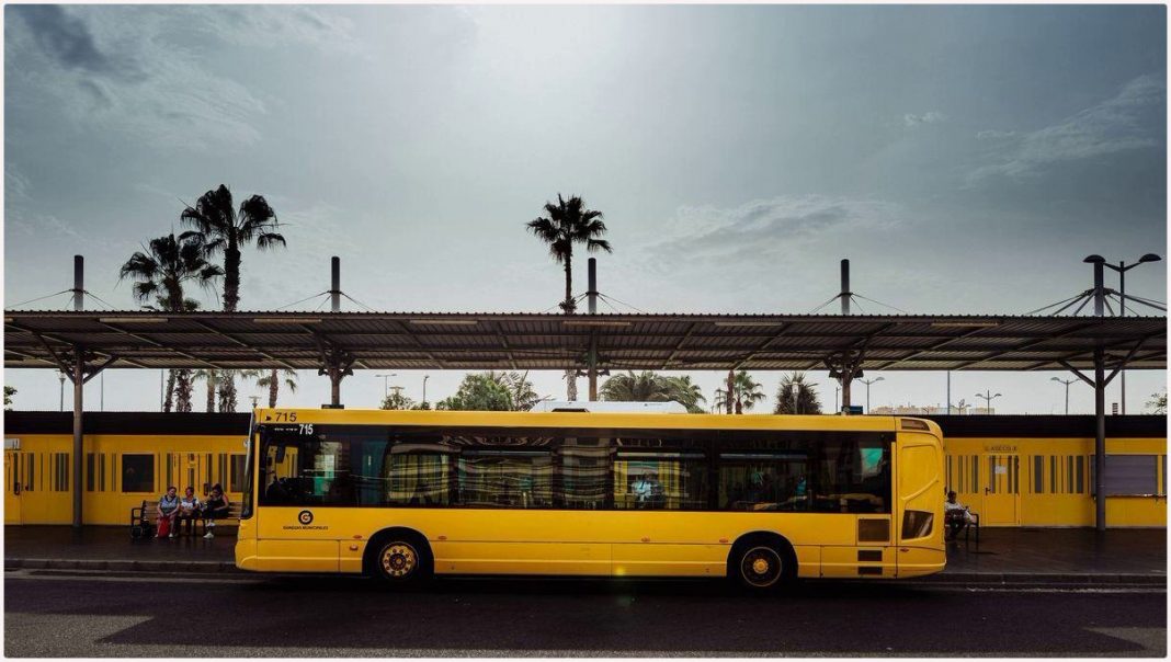 LE COMPAGNIE DI AUTOBUS SI OPPONGONO: “NON POSSIAMO APPLICARE L’ABBONAMENTO GRATUITO” LE COMPAGNIE DI AUTOBUS SI OPPONGONO: “NON POSSIAMO APPLICARE L’ABBONAMENTO GRATUITO”