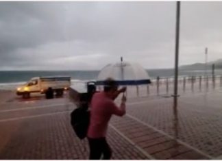 ALBERI, RAMI CADUTI E FRANE, SOLO ALCUNI DEGLI INCIDENTI CAUSATI DAL VENTO ALLE CANARIE