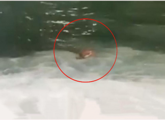 CADE IN MARE PER PRENDERE IL TRAGHETTO TRA SANTA CRUZ E AGAETE