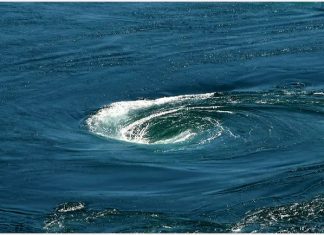 IL MULINELLO OCEANICO DEL BENTAYGA È DIVENTATO GRANDE QUANTO L’INTERO ARCIPELAGO