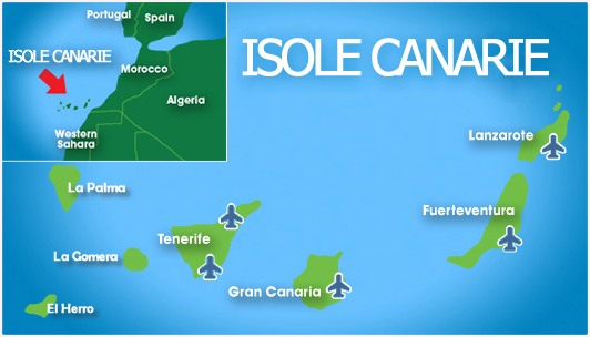 UNO STUDIO RIVELA CHE I CANARI SONO I PIÙ MALEDUCATI DELLA SPAGNA: DA QUALE ISOLA PROVENGONO? UNO STUDIO RIVELA CHE I CANARI SONO I PIÙ MALEDUCATI DELLA SPAGNA: DA QUALE ISOLA PROVENGONO?