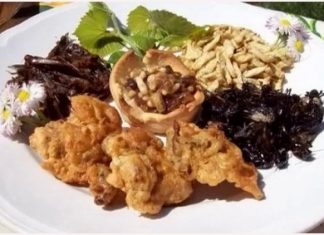 INSETTI COMMESTIBILI: LA NUOVA FRONTIERA ALIMENTARE