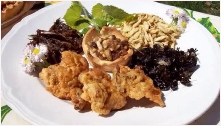 INSETTI COMMESTIBILI: LA NUOVA FRONTIERA ALIMENTARE INSETTI COMMESTIBILI: LA NUOVA FRONTIERA ALIMENTARE