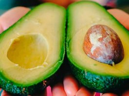 Il Marchio IGP per l’Avocado delle Canarie: un traguardo storico per l’agricoltura isolana