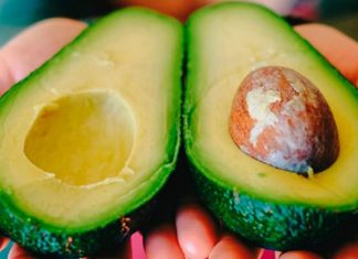 Il Marchio IGP per l’Avocado delle Canarie: un traguardo storico per l’agricoltura isolana